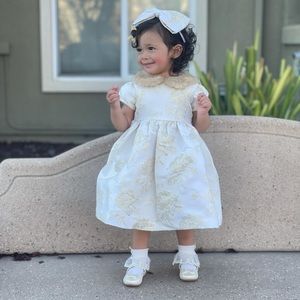 Holiday Dress - Worn once - Janie and Jack